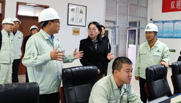 楊孟珠深入重點企業(yè)調(diào)研工業(yè)穩(wěn)增長和安全生產(chǎn)工作